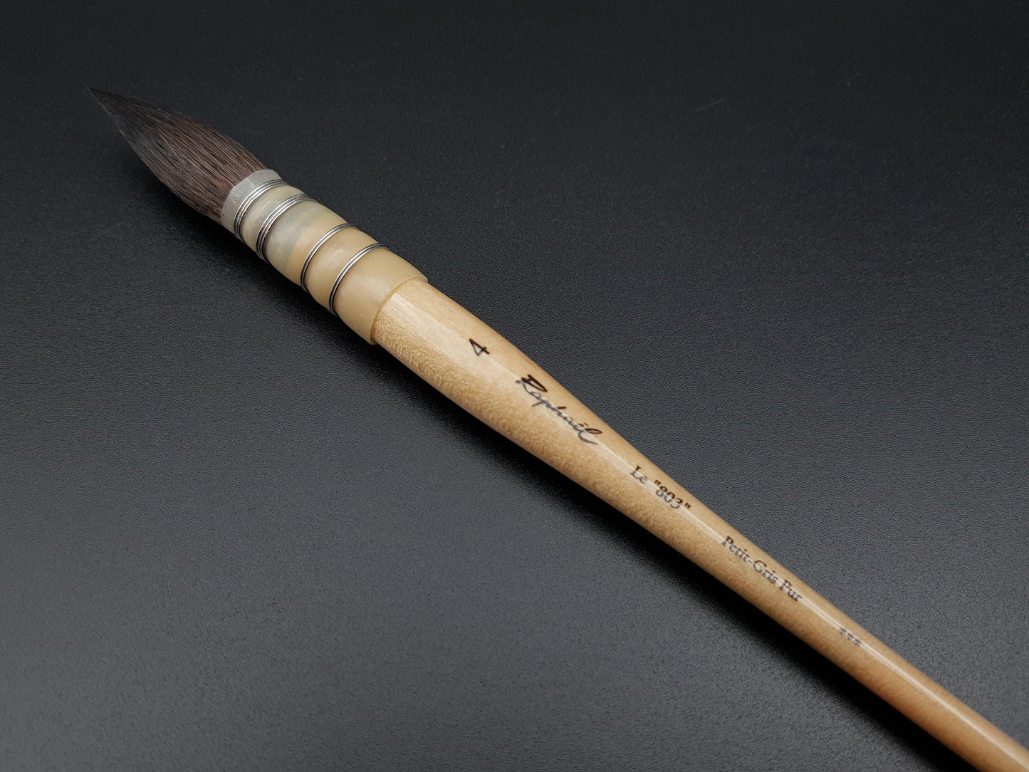 Raphael Kazan 803 — Squirrel Mop