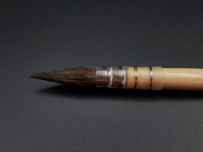 Raphael Kazan 803 — Squirrel Mop