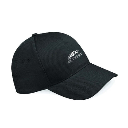 Team Newbery - Cap