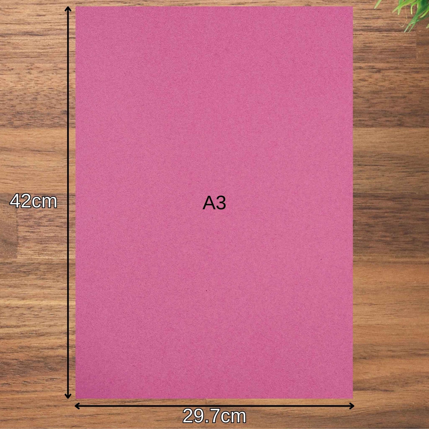 A3 Pastel Sugar Paper 100gsm