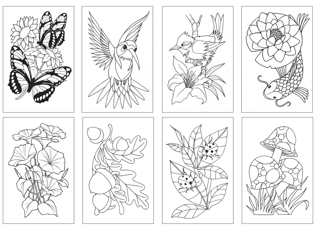 Chameleon Color Cards  - Nature (16 Pack)