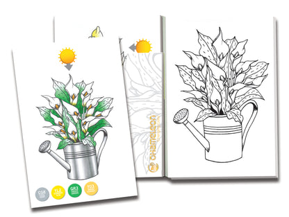 Chameleon Color Cards  - Flowers (16 Pack)