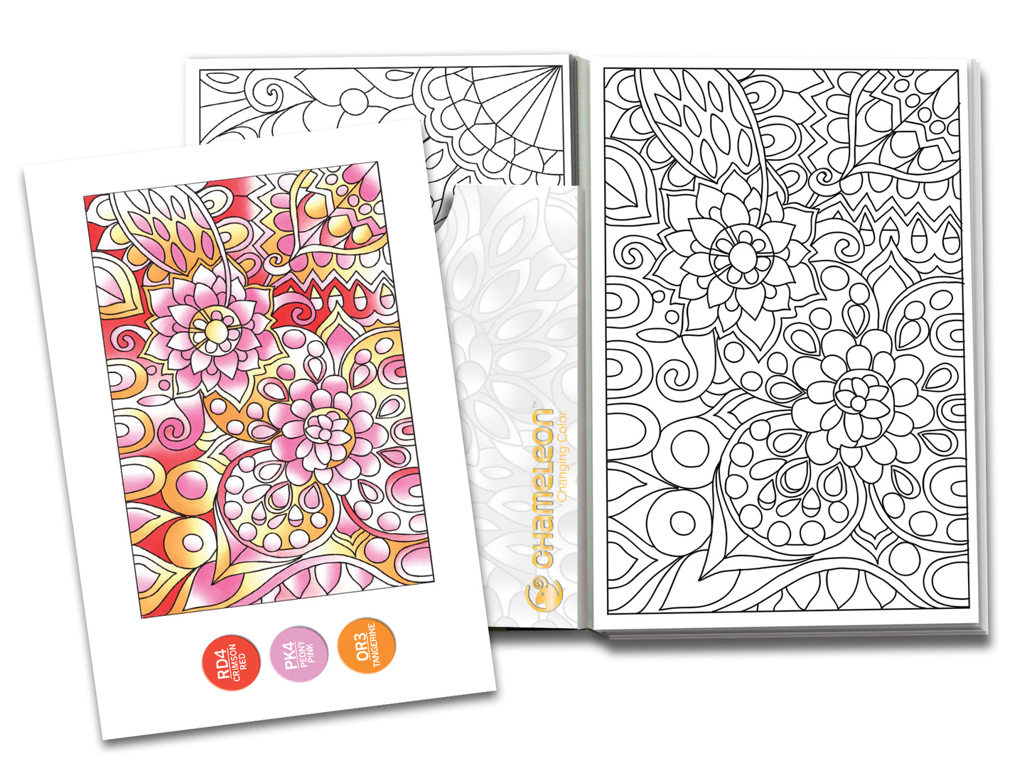 Chameleon Color Cards  - Floral Patterns (16 Pack)