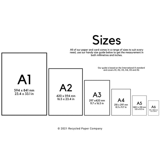 A4 White Printer Copy Paper 80gsm Evolution Everyday